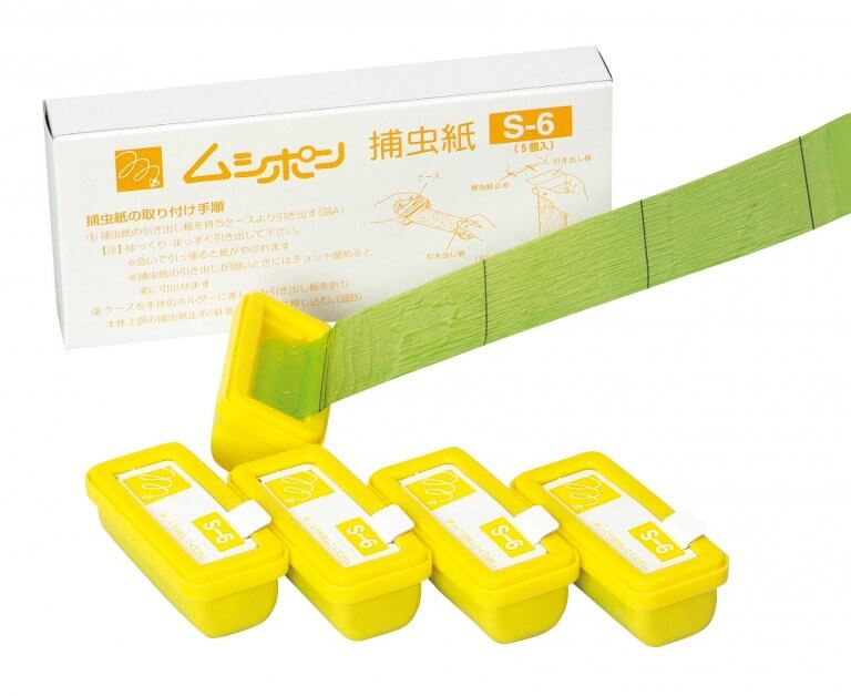 画像_捕虫紙S-6